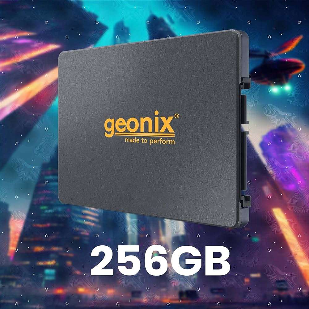GEONIX 256 GB Laptop, Desktop Internal Solid State Drive (SSD) (256GB ...